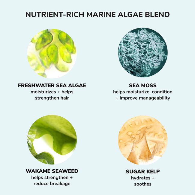 Color Wow Money Laundering Hydrating Shampoo 250ml ingredient panel with hyaluronic acid and marine algae extracts