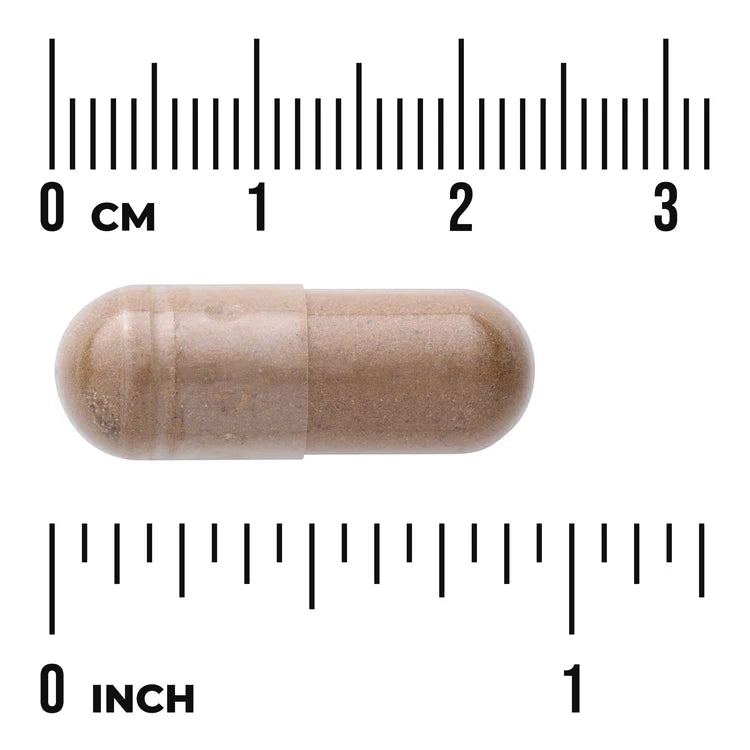 Swanson Full Spectrum Guarana 500mg 100 Capsuless herbal supplement capsule bottle 60 capsule size