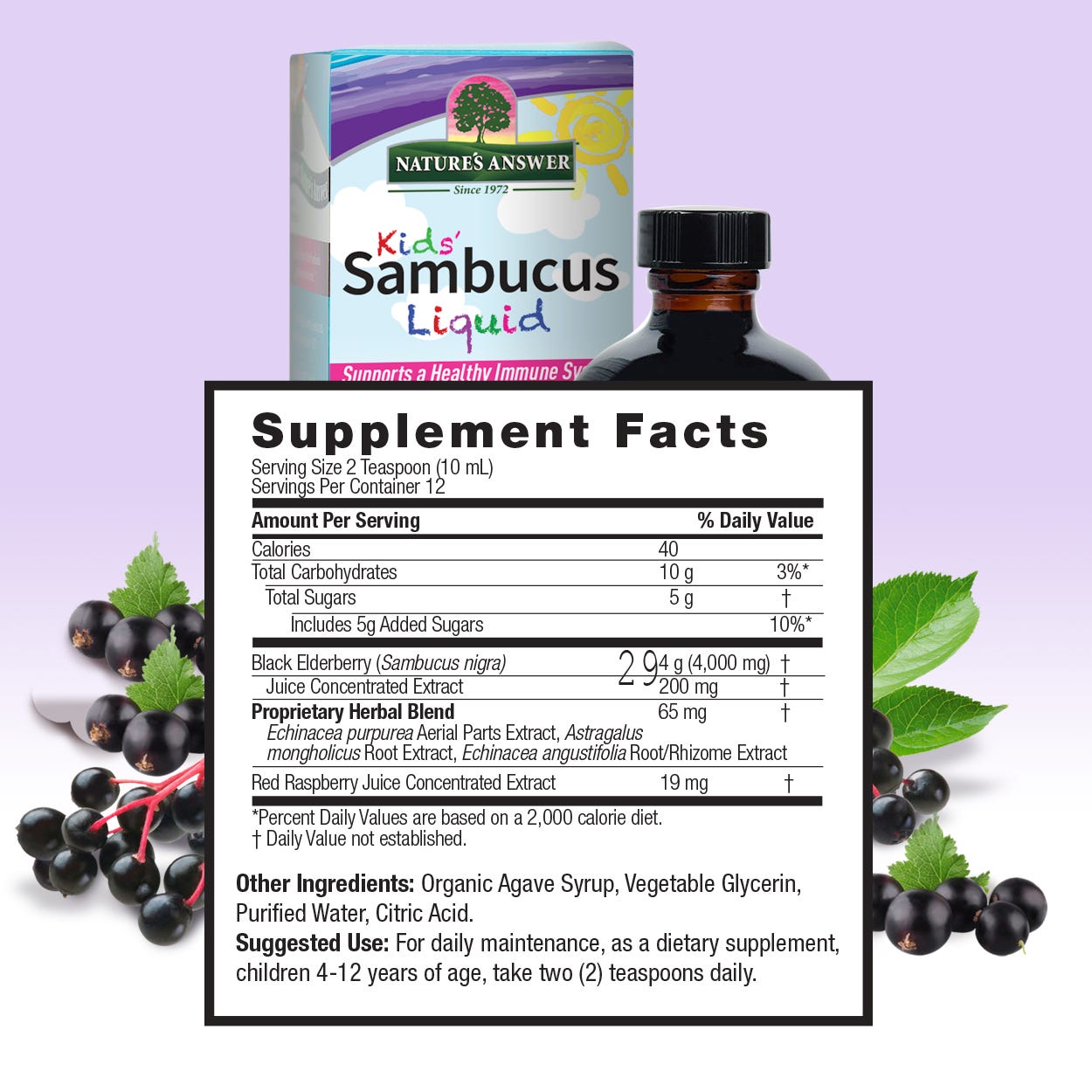 Nature’s Answer Sambucus Kids elderberry supplement facts 120ml bottle