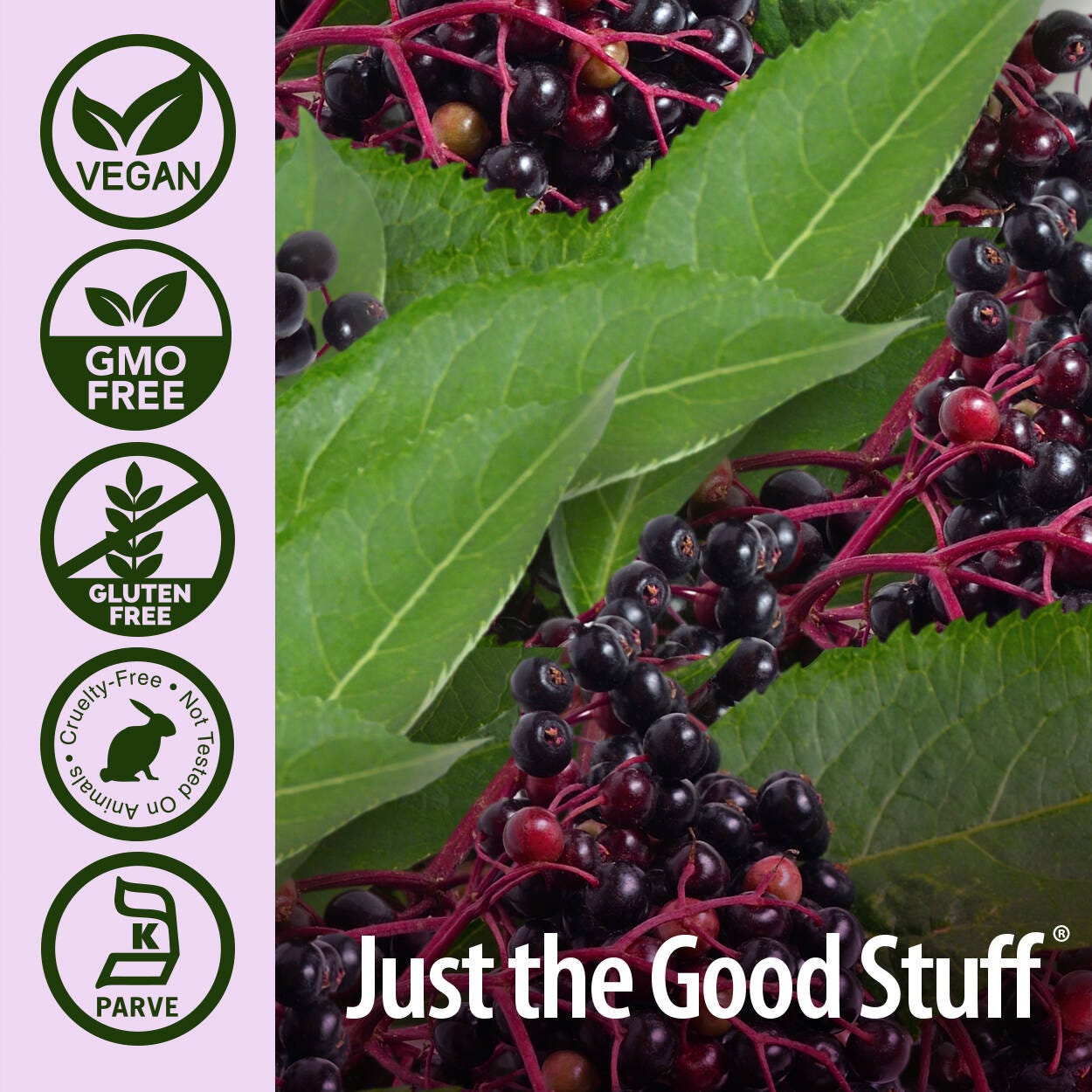 Nature’s Answer Sambucus Elderberry Liquid Extract - 120ml
