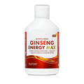 Swedish Nutra Energia al Ginseng Liquido Zenzero 500ml