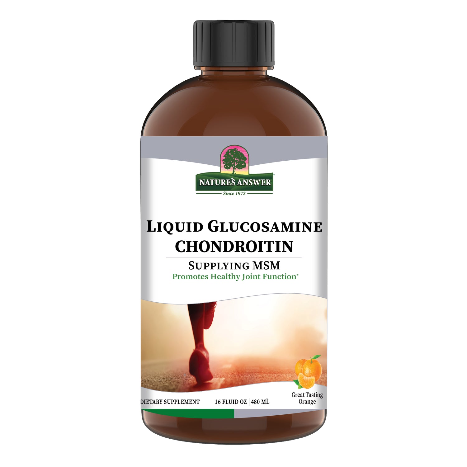 Nature's Answer Liquid Glucosamine Chondroitin MSM Orange 480ml supplement front label