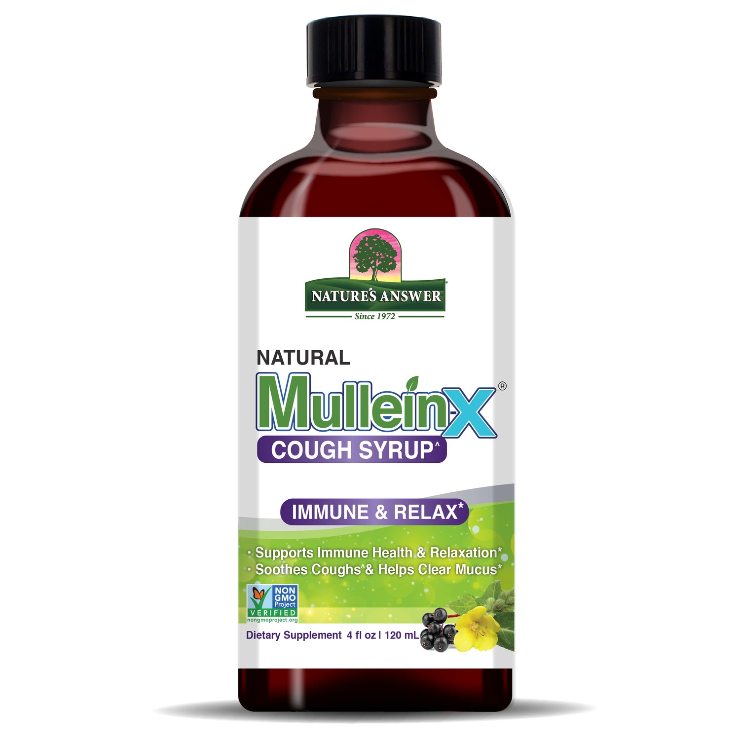 Nature’s Answer Mullein-X Herb & Honey Syrup 120ml bottle front view