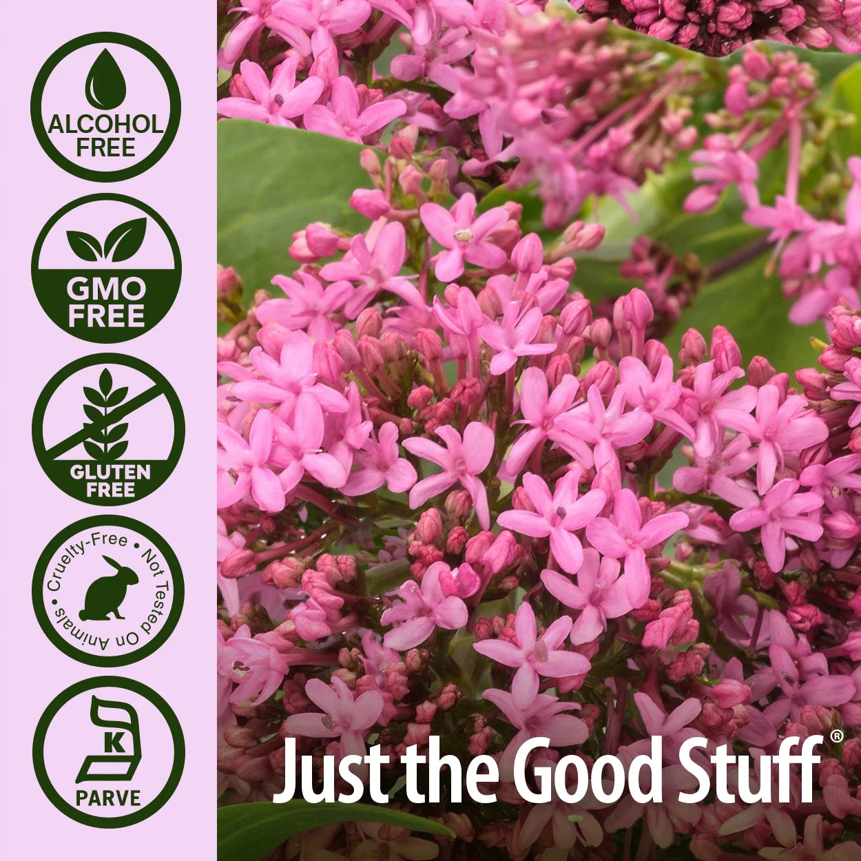 Nature’s Answer Hypericum Perforatum Liquid Extract - 30ml
