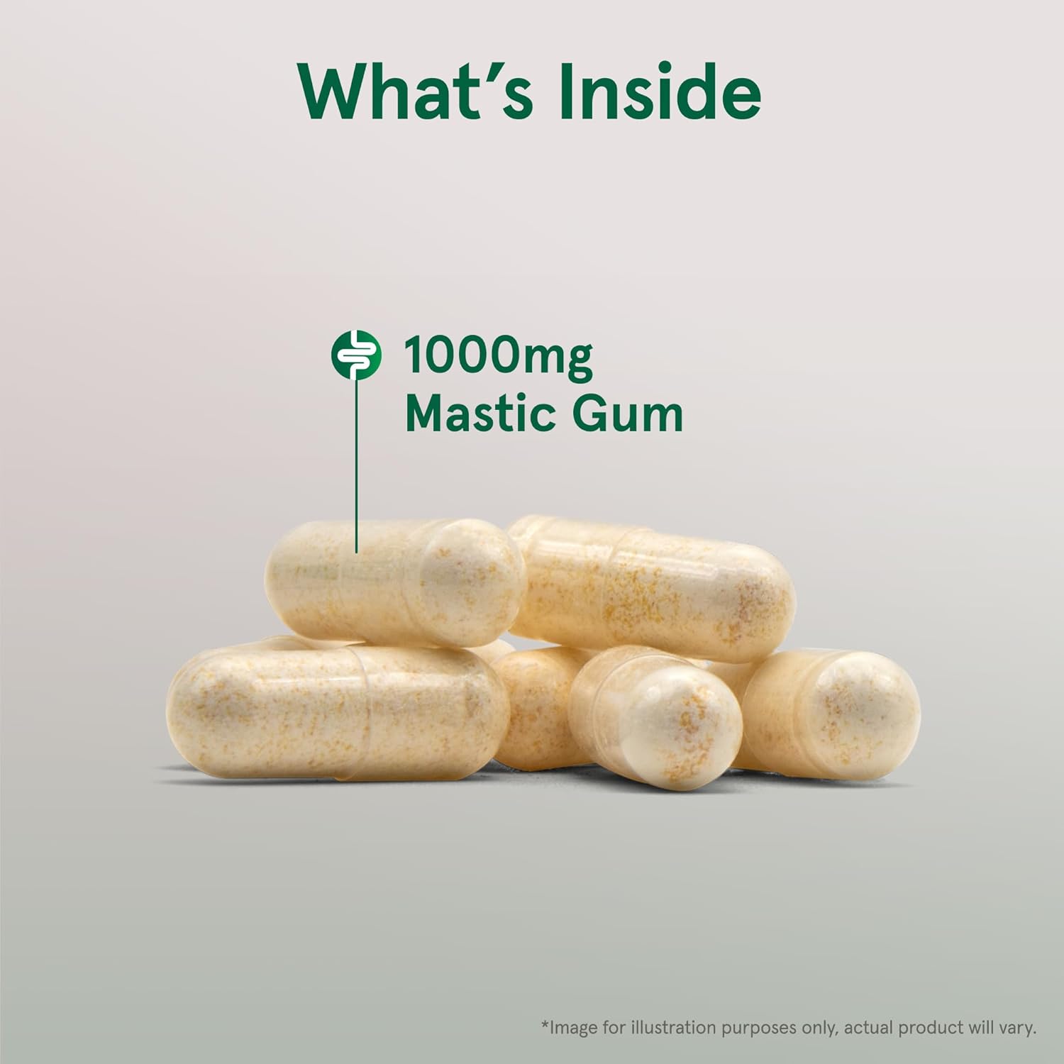 Jarrow Formulas mastic gum 1000mg veggie capsules daily supplement use
