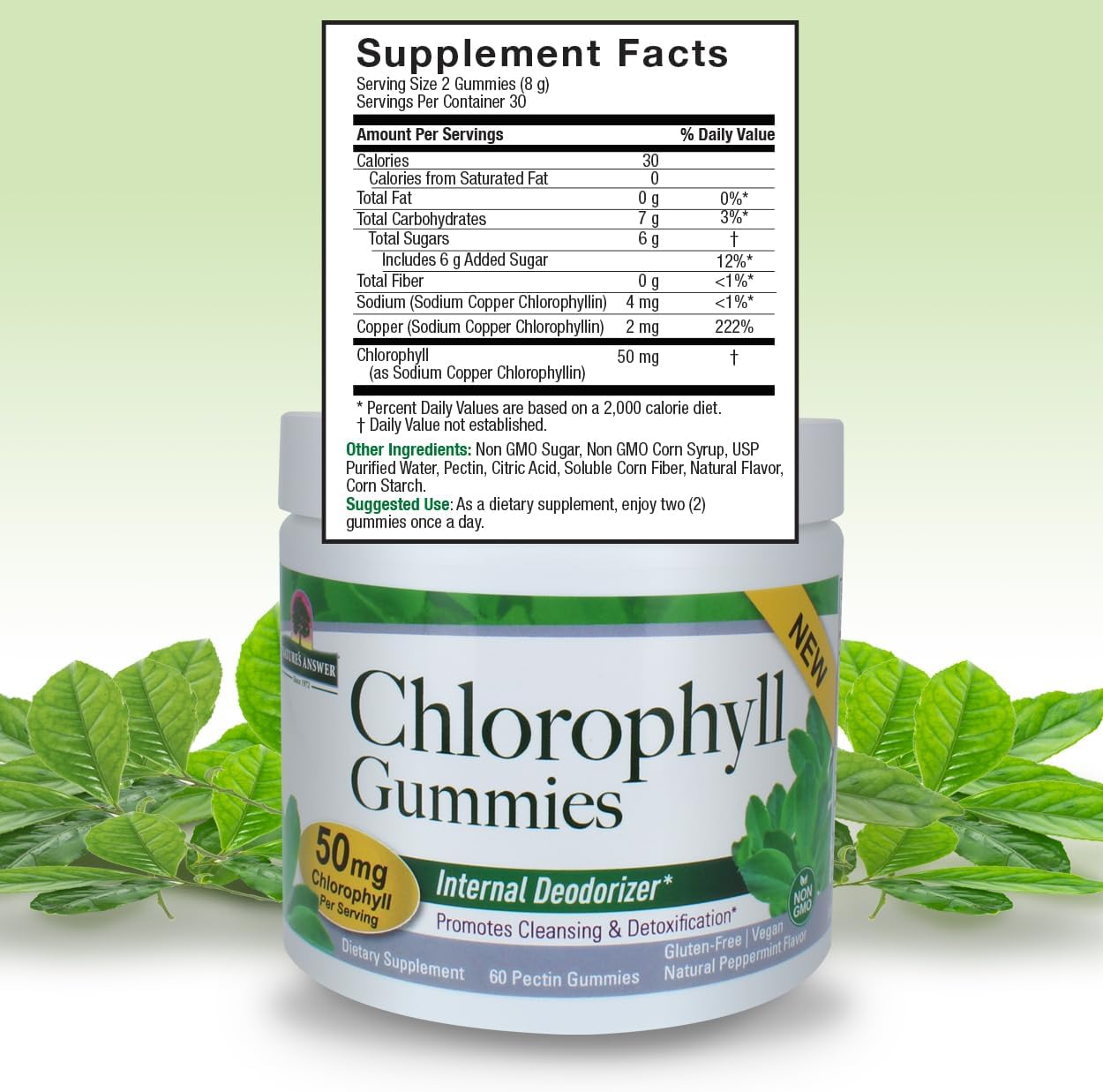 Nature’s Answer Chlorophyll gummies ingredient label 60 count back viewand green leaves in the background