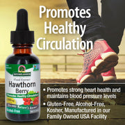 Nature’s Answer Hawthorn Berry Alcohol-Free Liquid Extract - 30ml