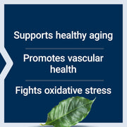 Life Extension French Maritime Pine Bark Extract 100mg