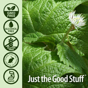 Nature’s Answer Goldenseal Root Liquid Low Alcohol - 30ml