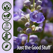 Nature’s Answer Vitex Agnus-Castus Herbal Capsules - 90 Count