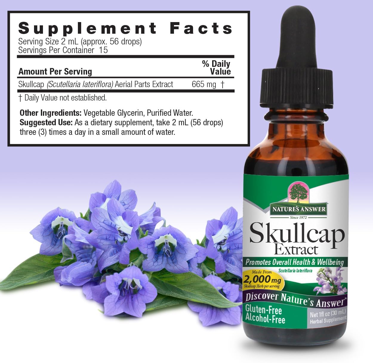 Nature's Answer Alcohol-Free Skullcap Herb Extract 30ml supplement facts and directions