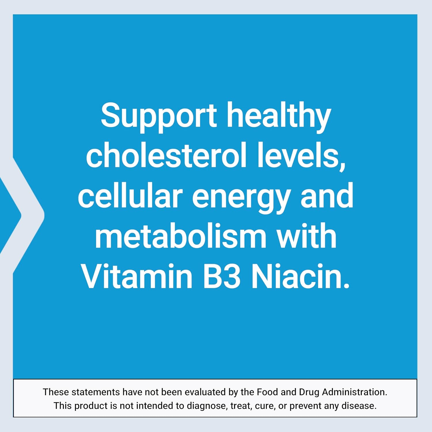 Life Extension Vitamin B3 Niacin 500mg supplement