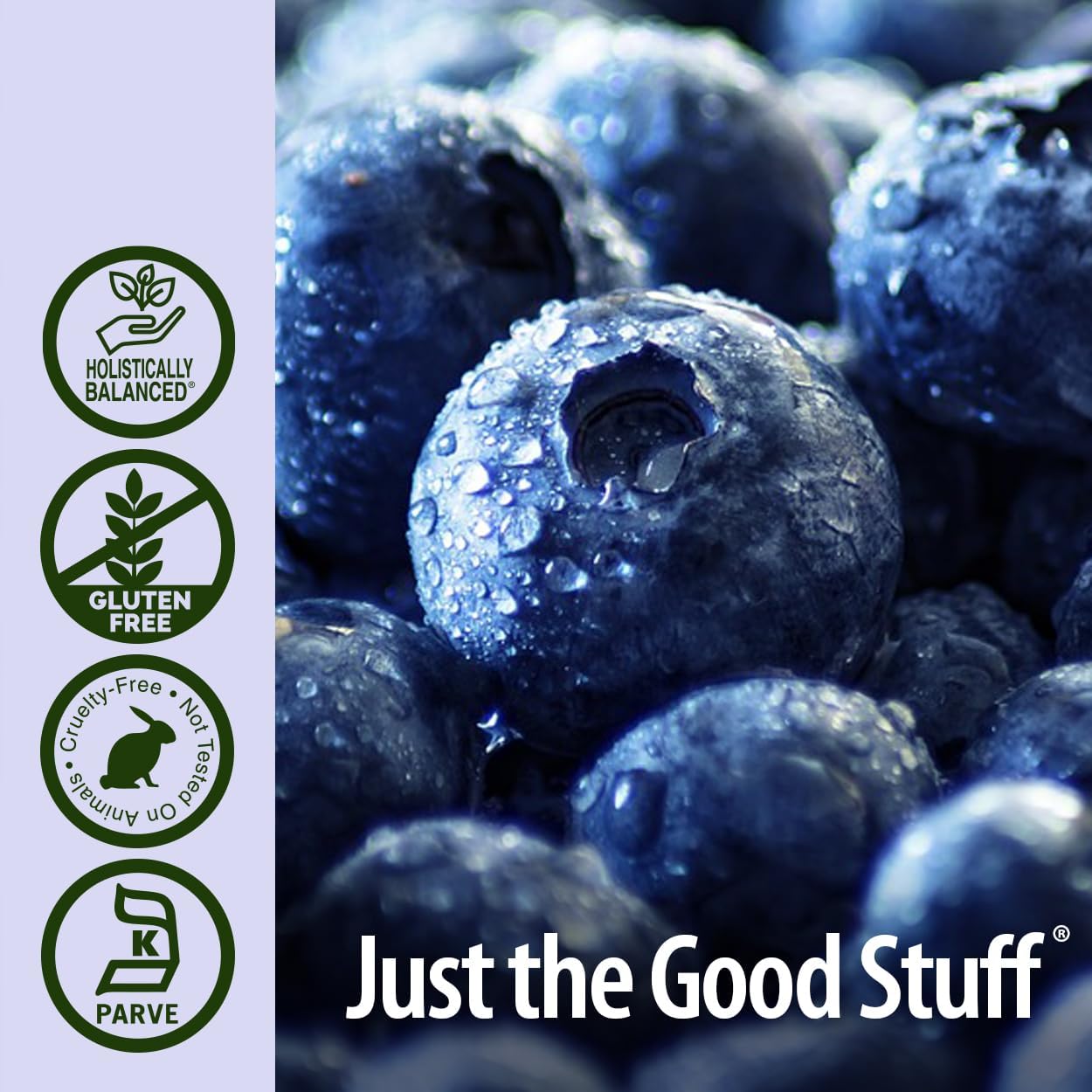 Nature's Answer Blueberry Fruit Extract Alcohol-Free - 60ml