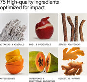 AG1 Greens Powder Travel Kit supplement facts and ingredients information
