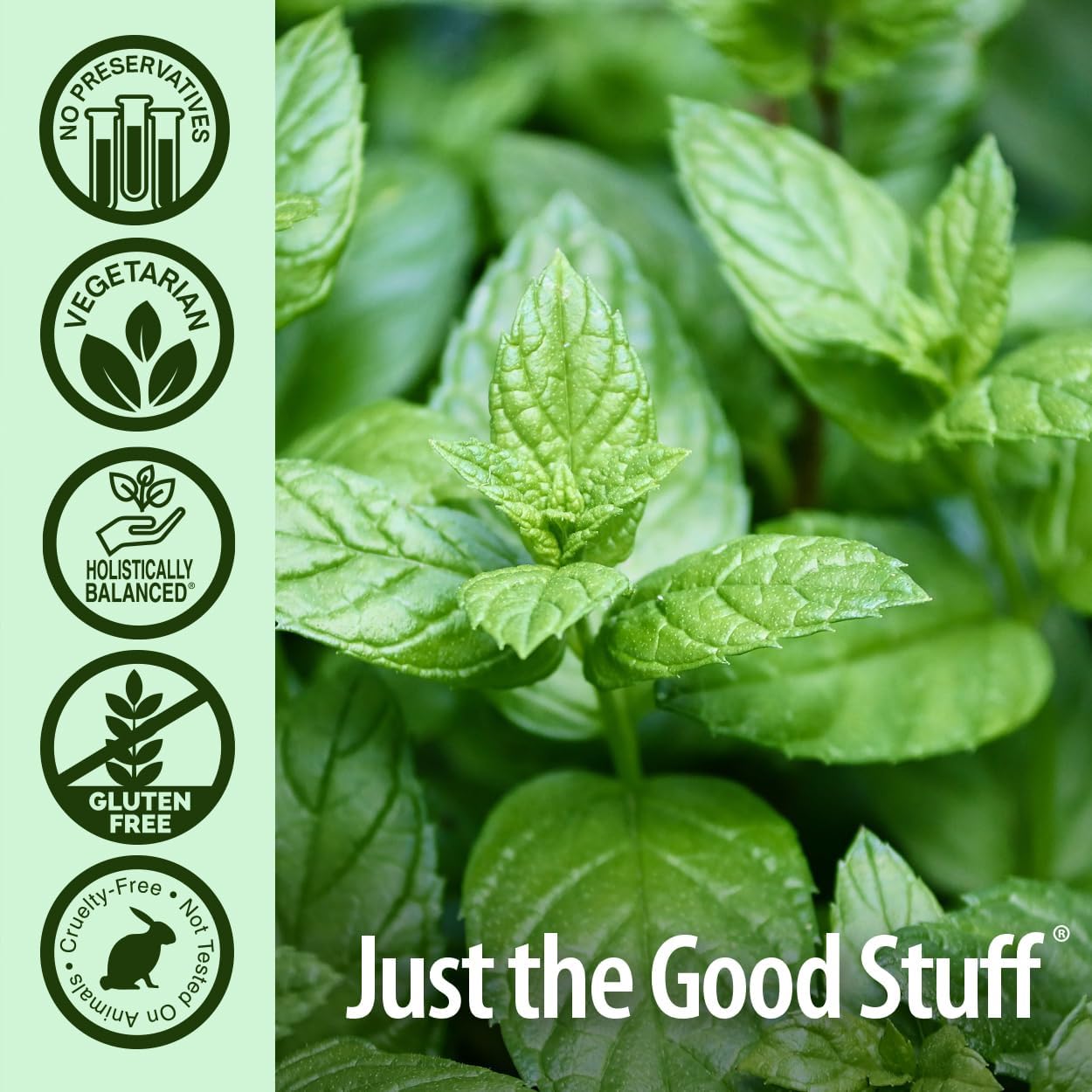 Nature’s Answer PerioBrite Charcoal Toothpaste Peppermint - 113.4g