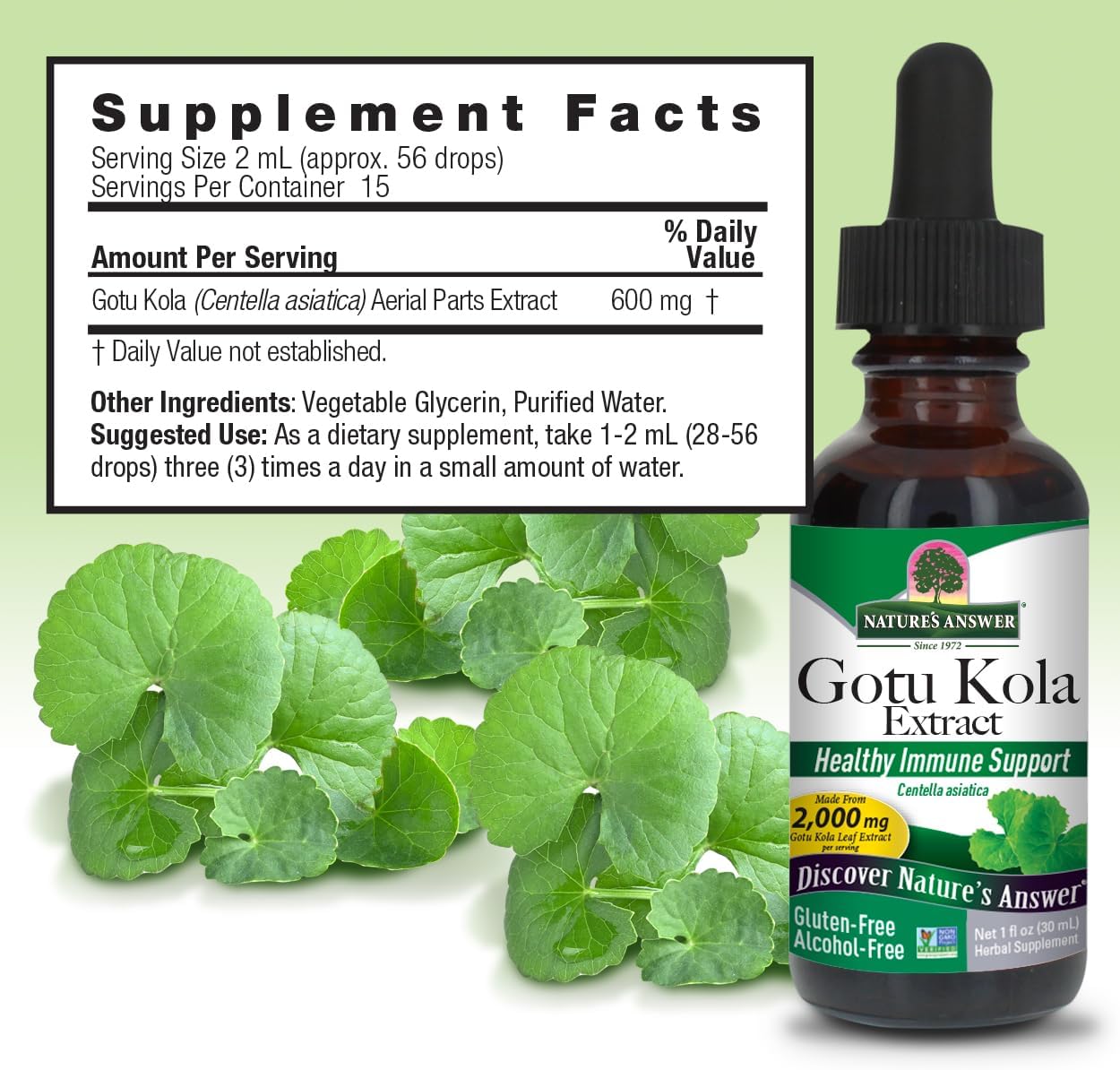 Nature’s Answer gotu kola supplement facts alcohol free 30ml back label