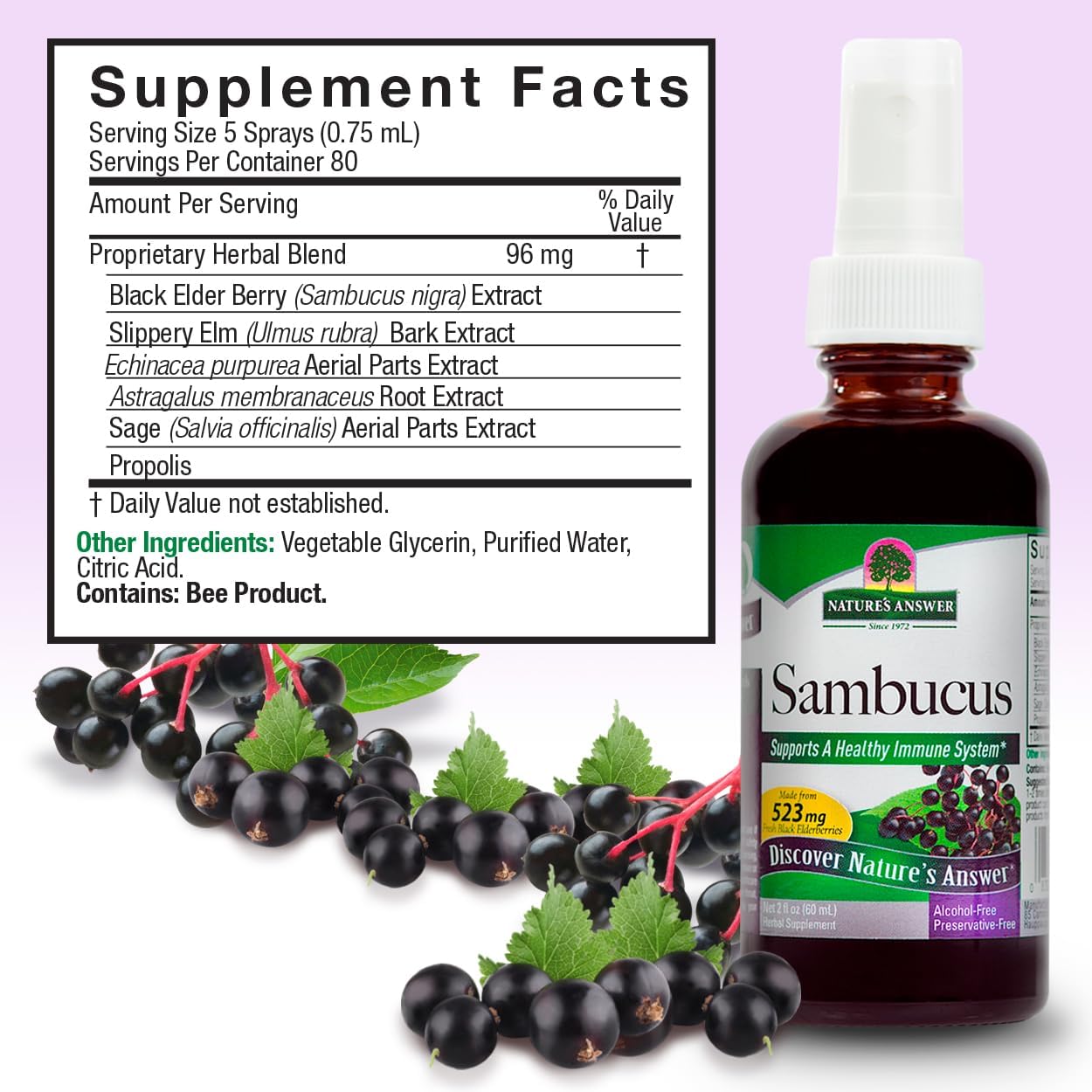 Nature’s Answer Sambucus spray supplement facts 60ml bottle