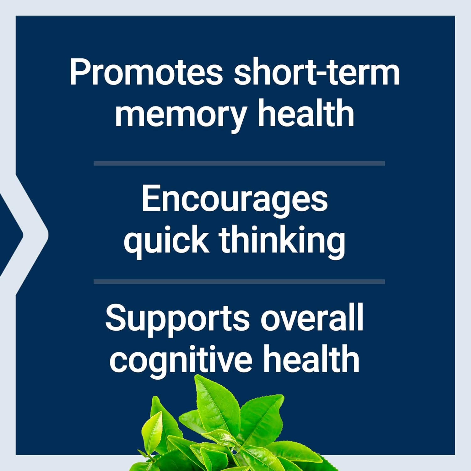 Life Extension Neuro-Mag Magnesium L-Threonate Capsules