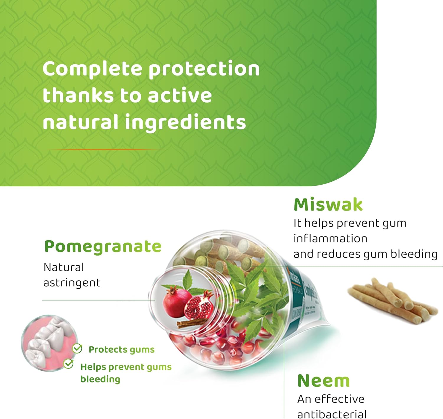 Himalaya Complete Care toothpaste ingredients label mint flavour 75ml