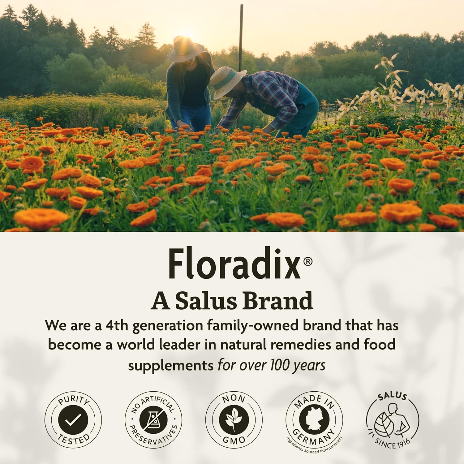 Floradix Magnesium Liquid Mineral Formula. A Salus Brand