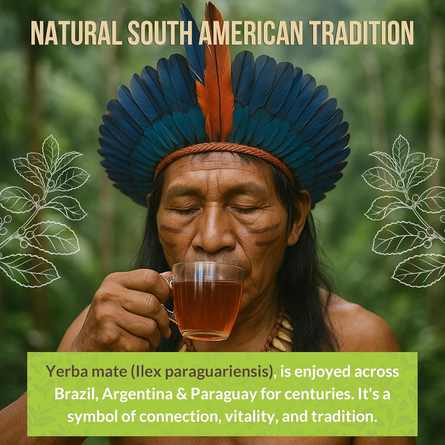 Rio Amazon Yerba Maté Tea Infusion prepared herbal beverage 40 teabags