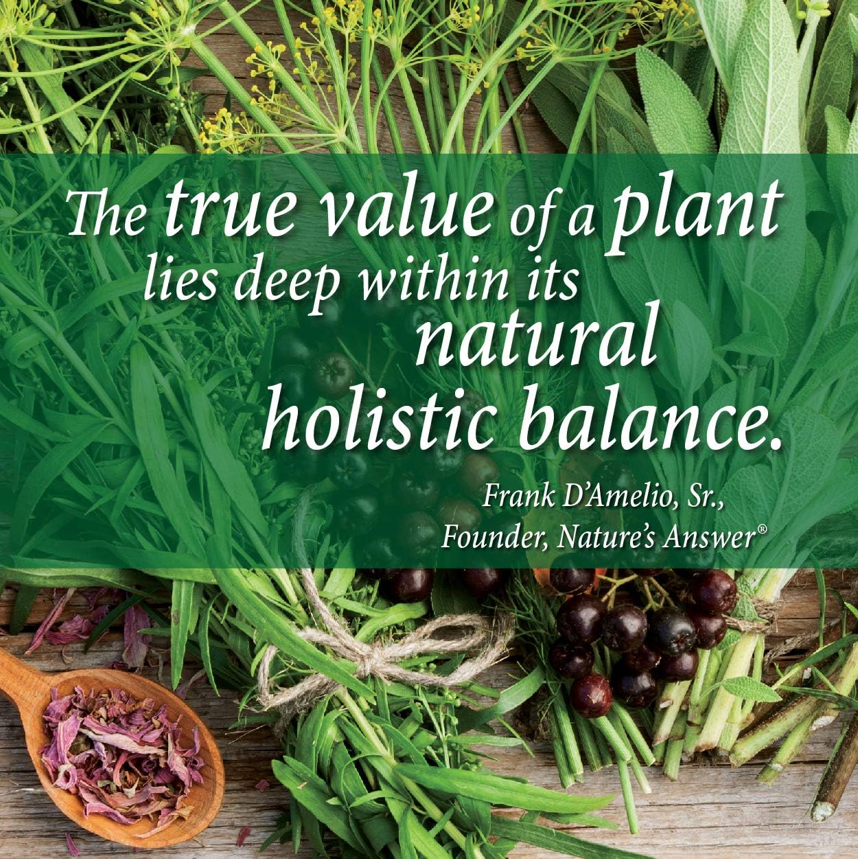 Nature's Answer L-Carnitine Liquid Supplement