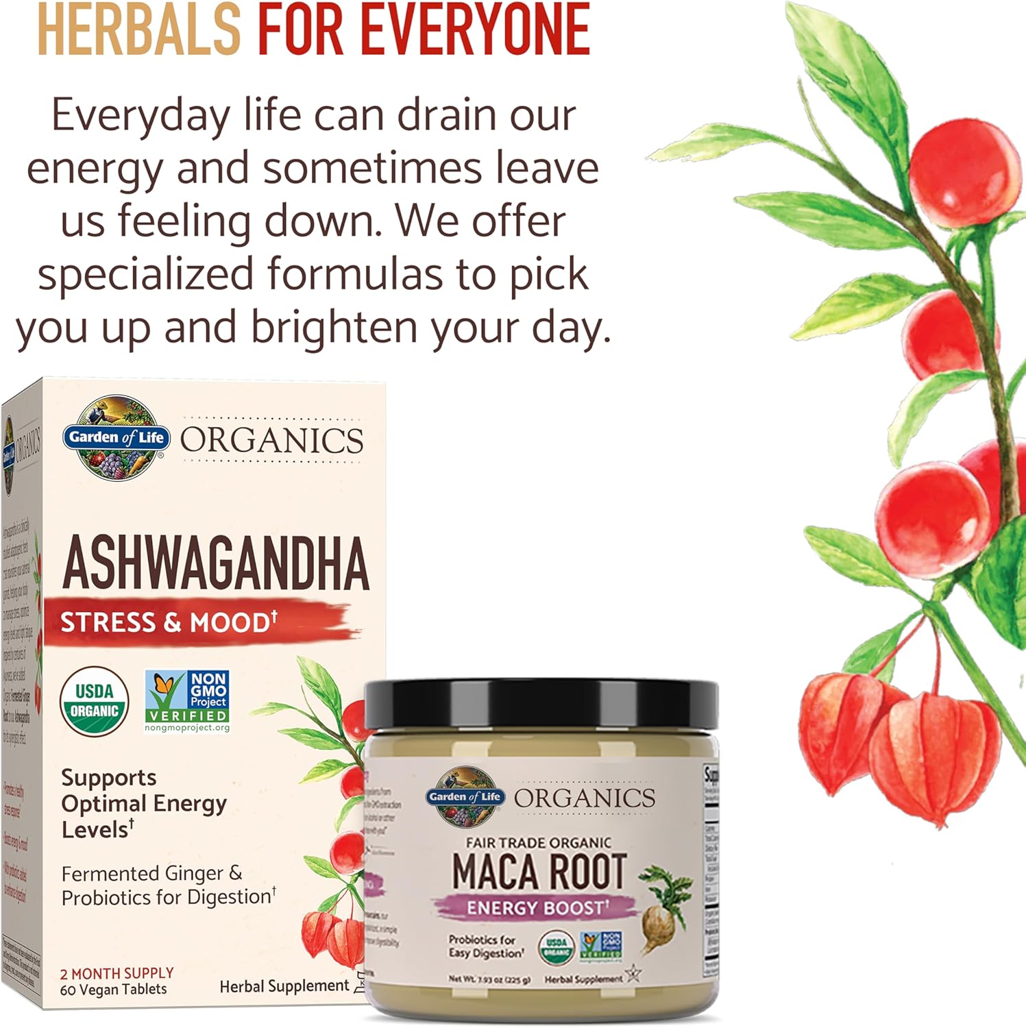 Garden of Life Organics Gelatinised Peruvian Maca Root Powder - 225g