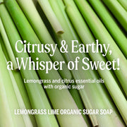 Dr. Bronner's Lemongrass Lime 4-in-1 Organic Sugar Pump Soap 355ml pump bottle ingredients