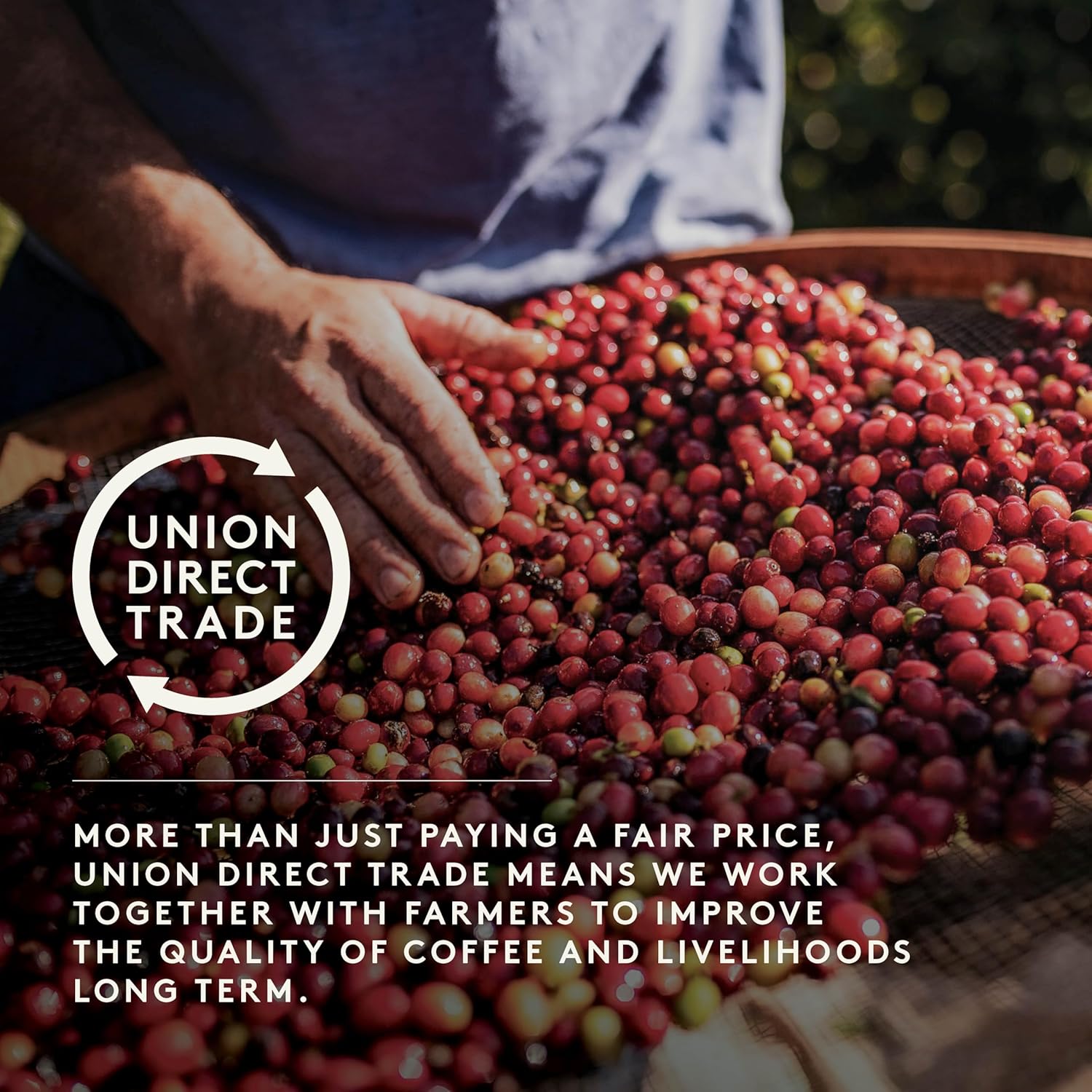 Union Natural Spirit Organic Blend Ground Coffee for Cafetiere - 200g