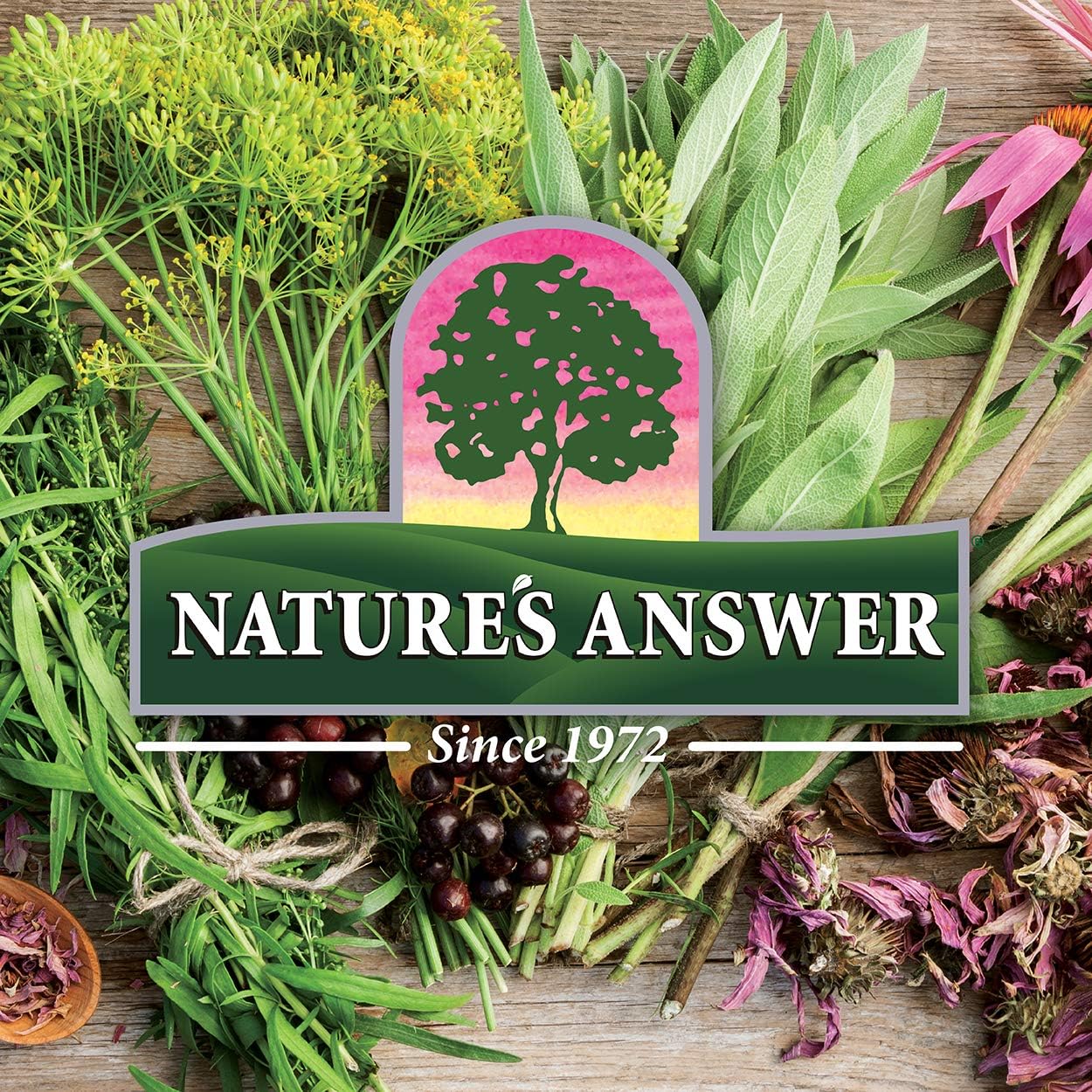 Nature’s Answer Mullein Leaf Extract Alcohol-Free Liquid - 30ml