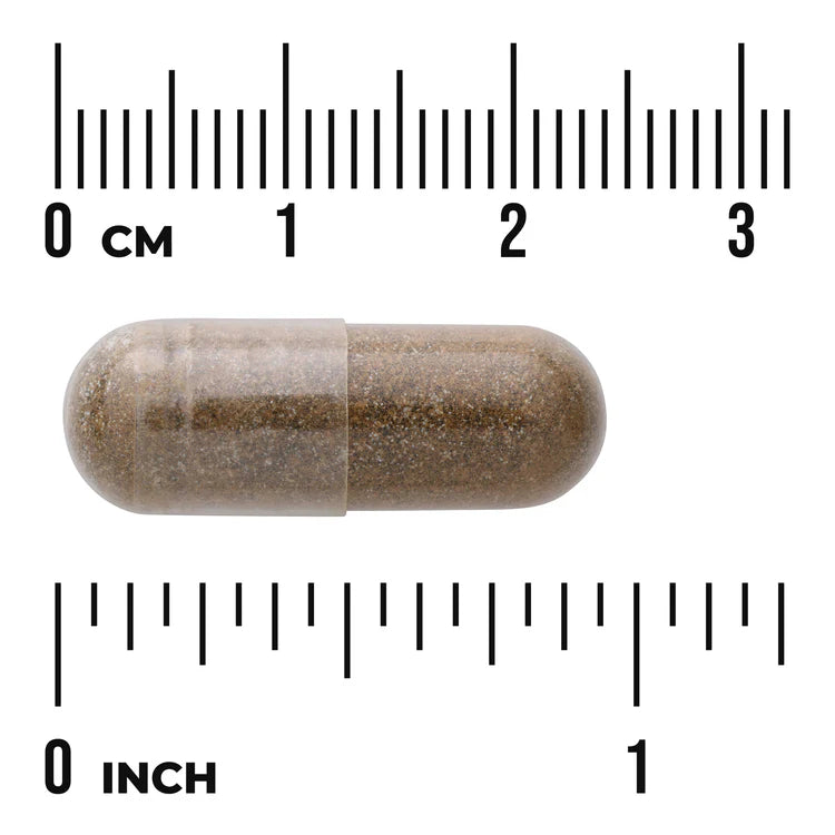 Swanson Horny Goat Weed Extract 500mg 120 Capsules herbal supplement capsule bottle 60 capsule size