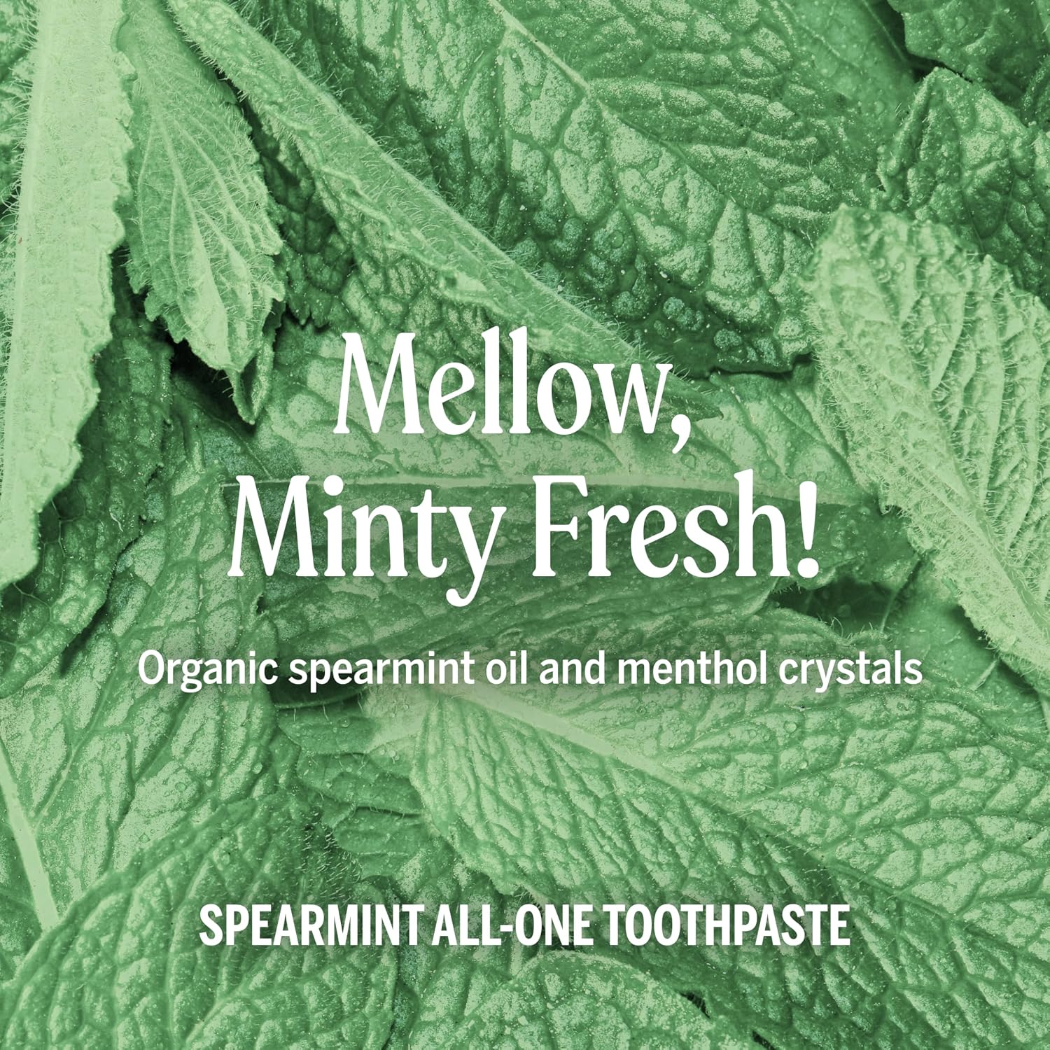 Dr. Bronner's Spearmint Fluoride Free Toothpaste 105ml tube ingredients