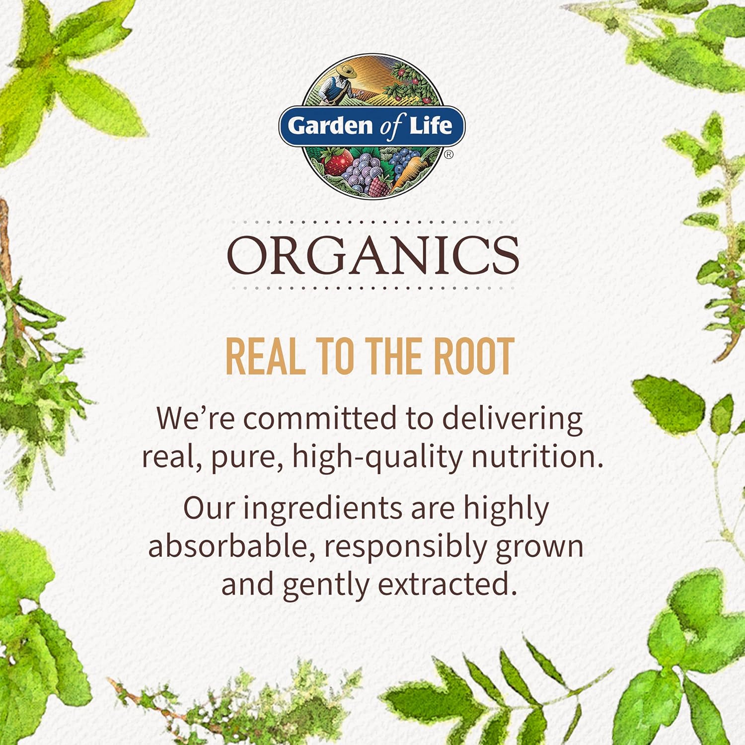 Garden of Life Organics Gelatinised Peruvian Maca Root Powder - 225g