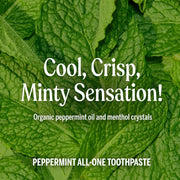 Dr. Bronner's Peppermint Fluoride Free Toothpaste 105ml tube ingredients