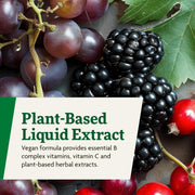 Floradix Liquid Iron & Vitamin Formula plant-based liquid extract