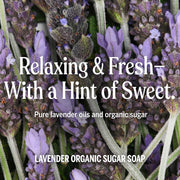 Dr. Bronner's Lavender 4-in-1 Organic Sugar Pump Soap 355ml pump bottle ingredients