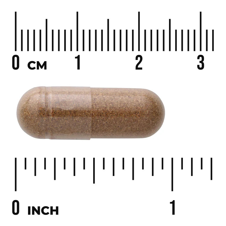 Swanson Cordyceps 120 Capsule | Supporto Naturale all'Energia e Vitalità