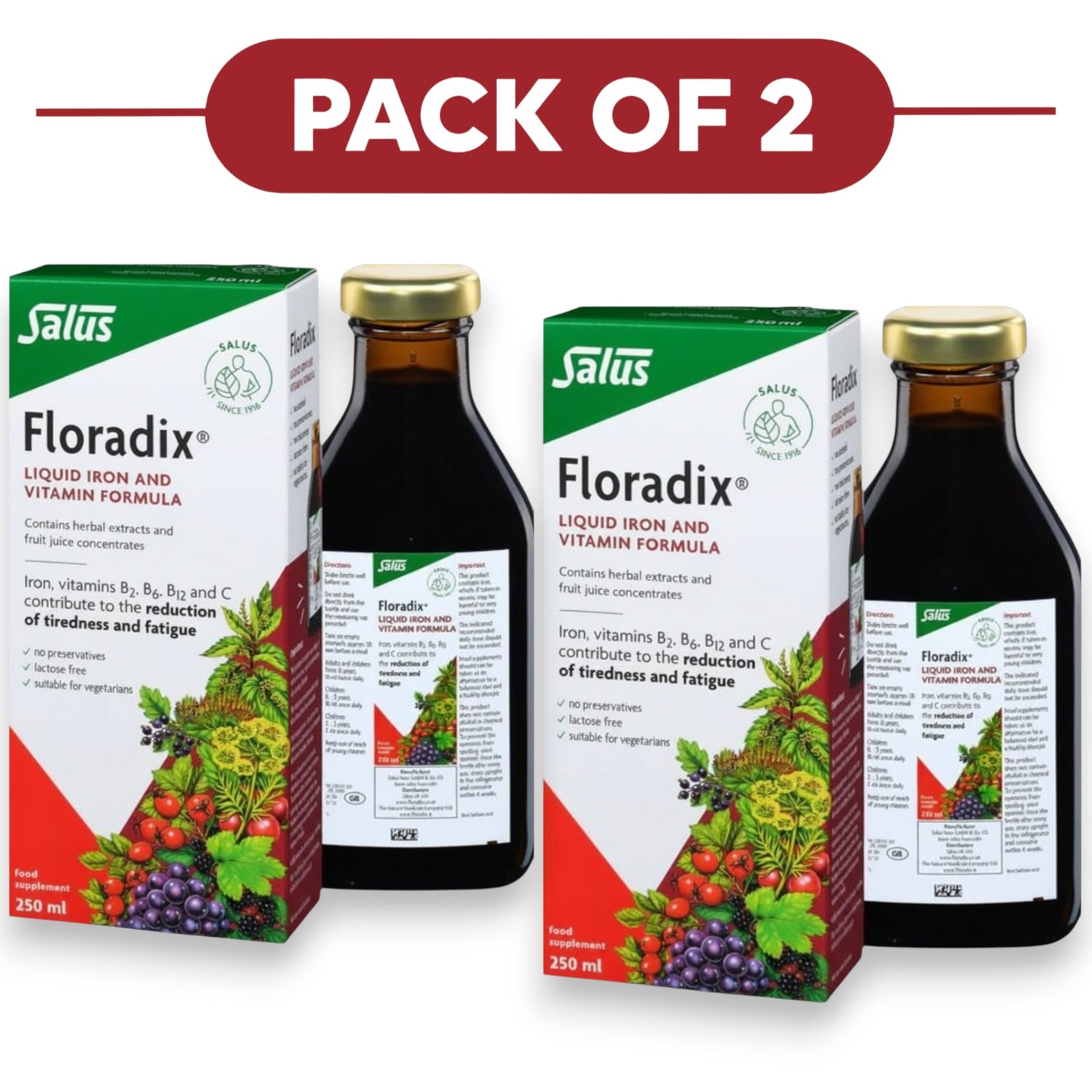 Floradix Liquid Iron & Vitamin Formula 250ml Pack of 2