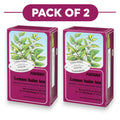 Floradix Tisana biologica melissa - 15 bustine da 1,6g ciascuna