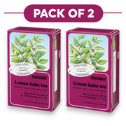 Floradix Organic Lemon Balm Tea 24g 15 Filterbags Pack of 2
