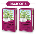 Floradix Tisana biologica melissa - 15 bustine da 1,6g ciascuna
