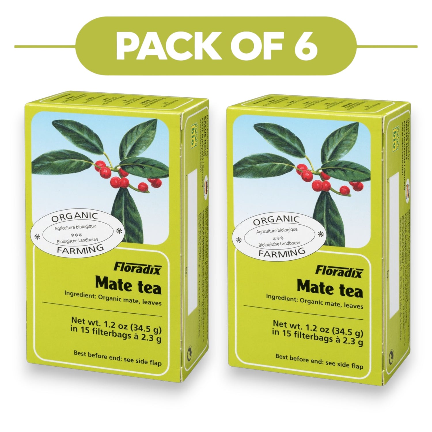 Floradix Organic Mate Tea 34.5g 15 Filterbags Pack of 6