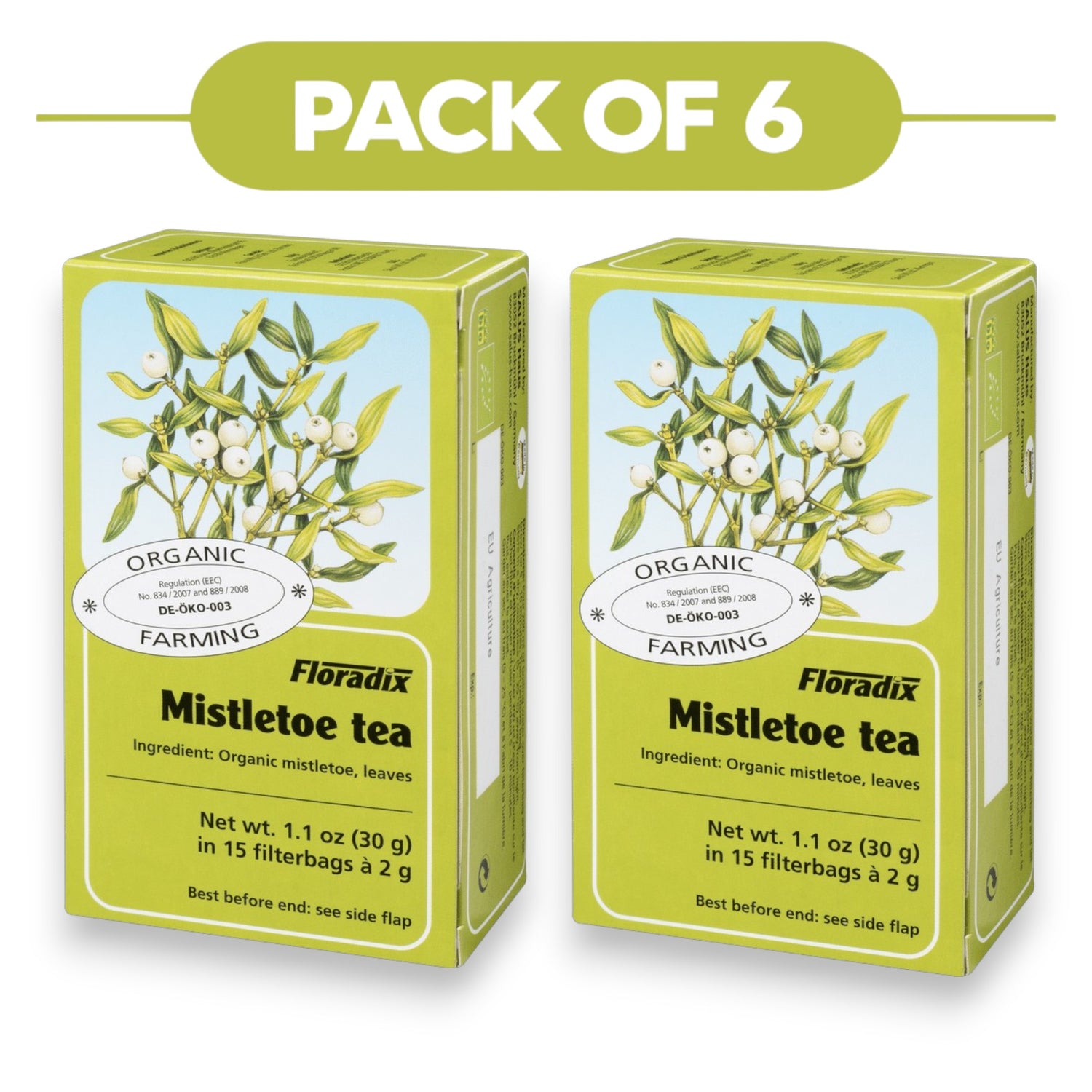 Floradix Organic Mistletoe Tea 30g 15 Filterbags Pack of 6