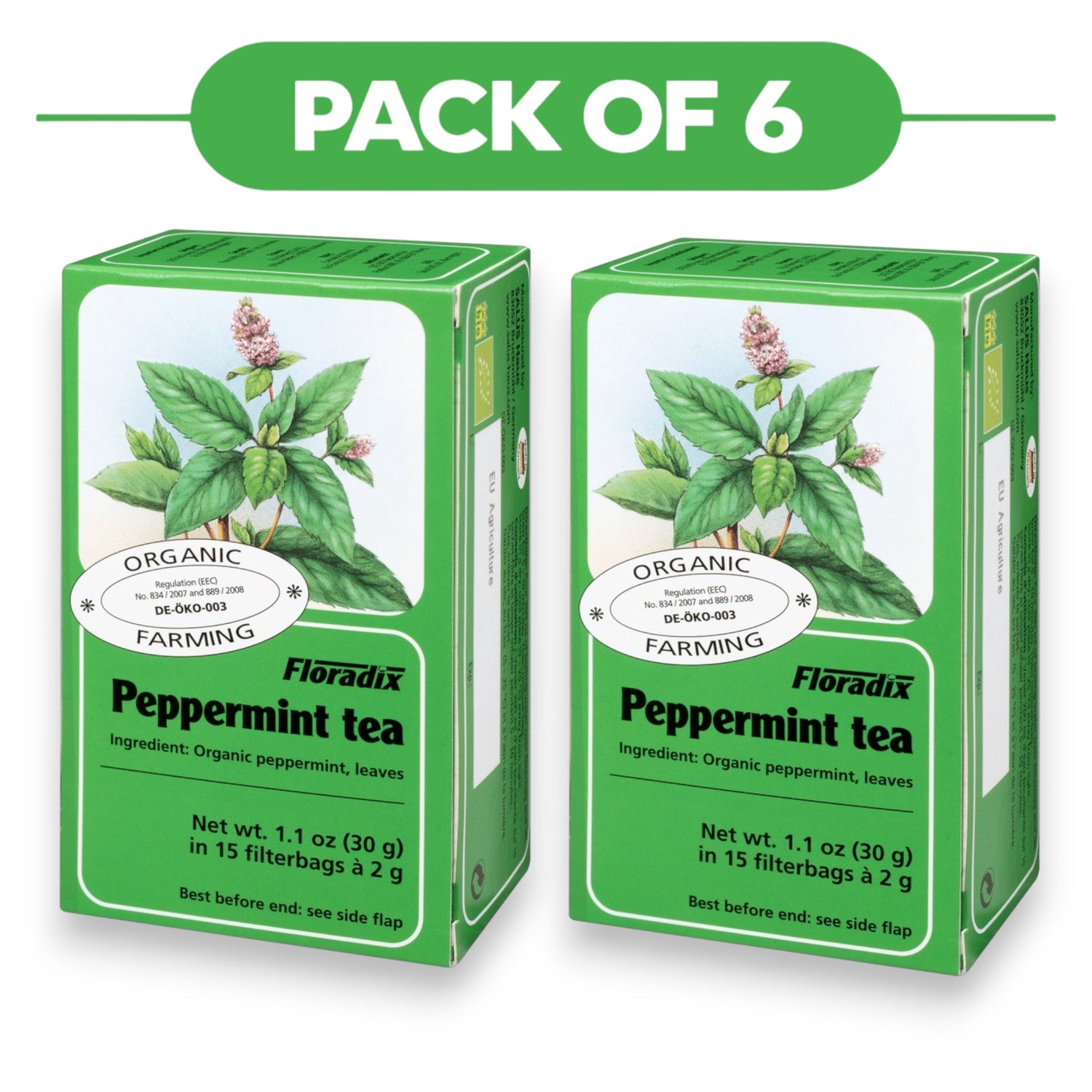 Floradix Organic Peppermint Tea 30g 15 Filterbags Pack of 6