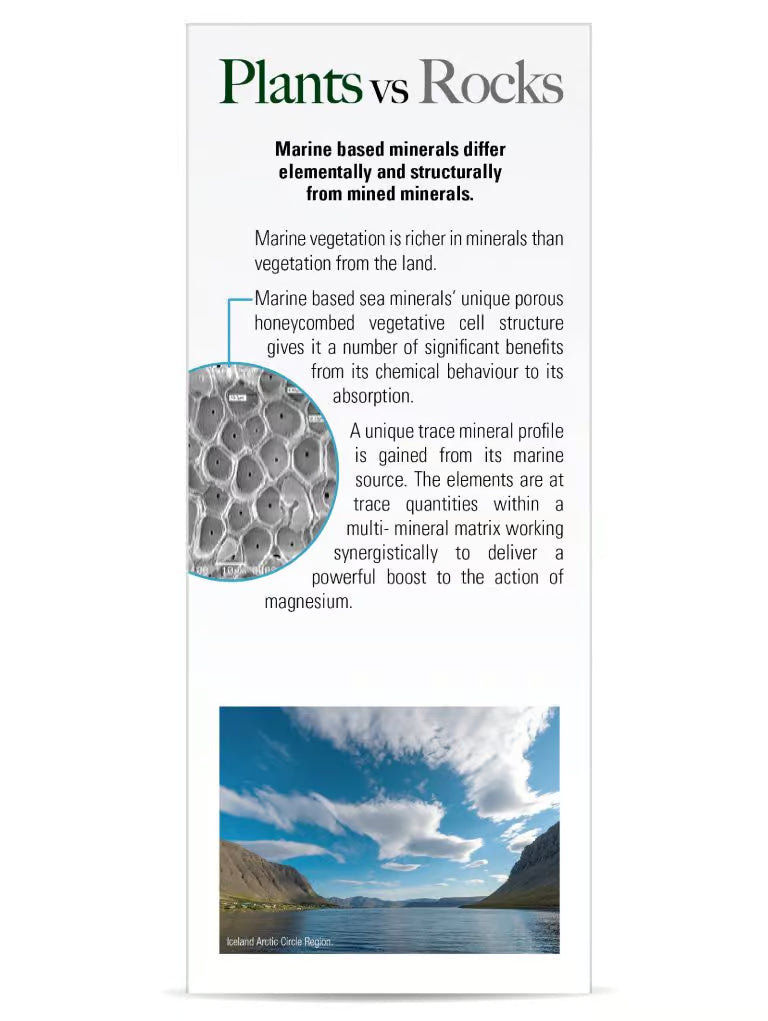 Nature’s Answer Marine Calcium Magnesium Liquid Vanilla Cream 480ml supplement facts label
