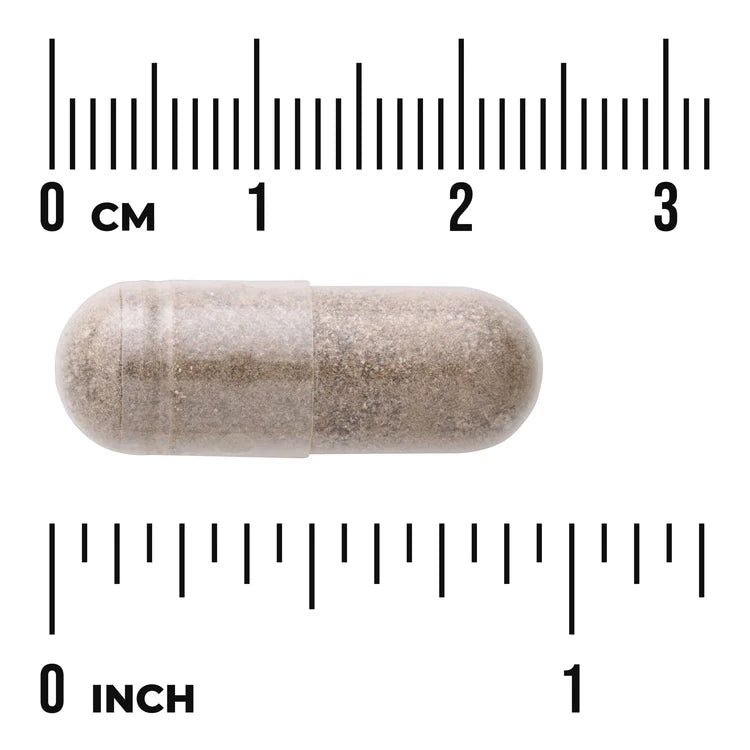 Swanson Grape Seed Green Tea Pine Bark herbal supplement capsule bottle 60 capsule size