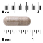Swanson Grape Seed Green Tea Pine Bark herbal supplement capsule bottle 60 capsule size