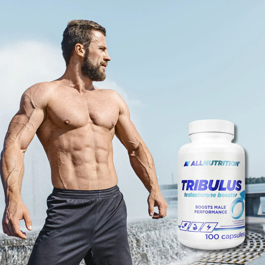 All Nutrition Tribulus Terrestris Extract, 60% Saponins - 100 Capsules
