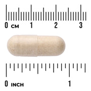 Swanson Prostate Essentials 90 Vegan Capsules Mineral & Herb Blend capsule size comparison with measurement scale