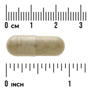 Swanson Echinacea Purpurea herbal supplement capsule bottle 100 capsule size